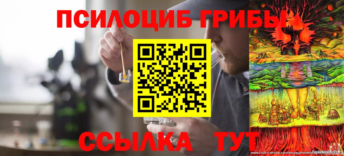 Псилоцибиновые грибы мухоморы Тобольск