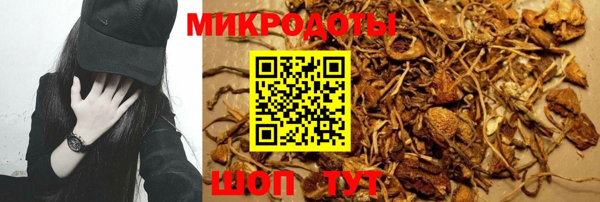 Тобольск  Галлюциногенные грибы Psilocybe  Галлюциногенные грибы Magic Shrooms  купить   Вход с VPN 
